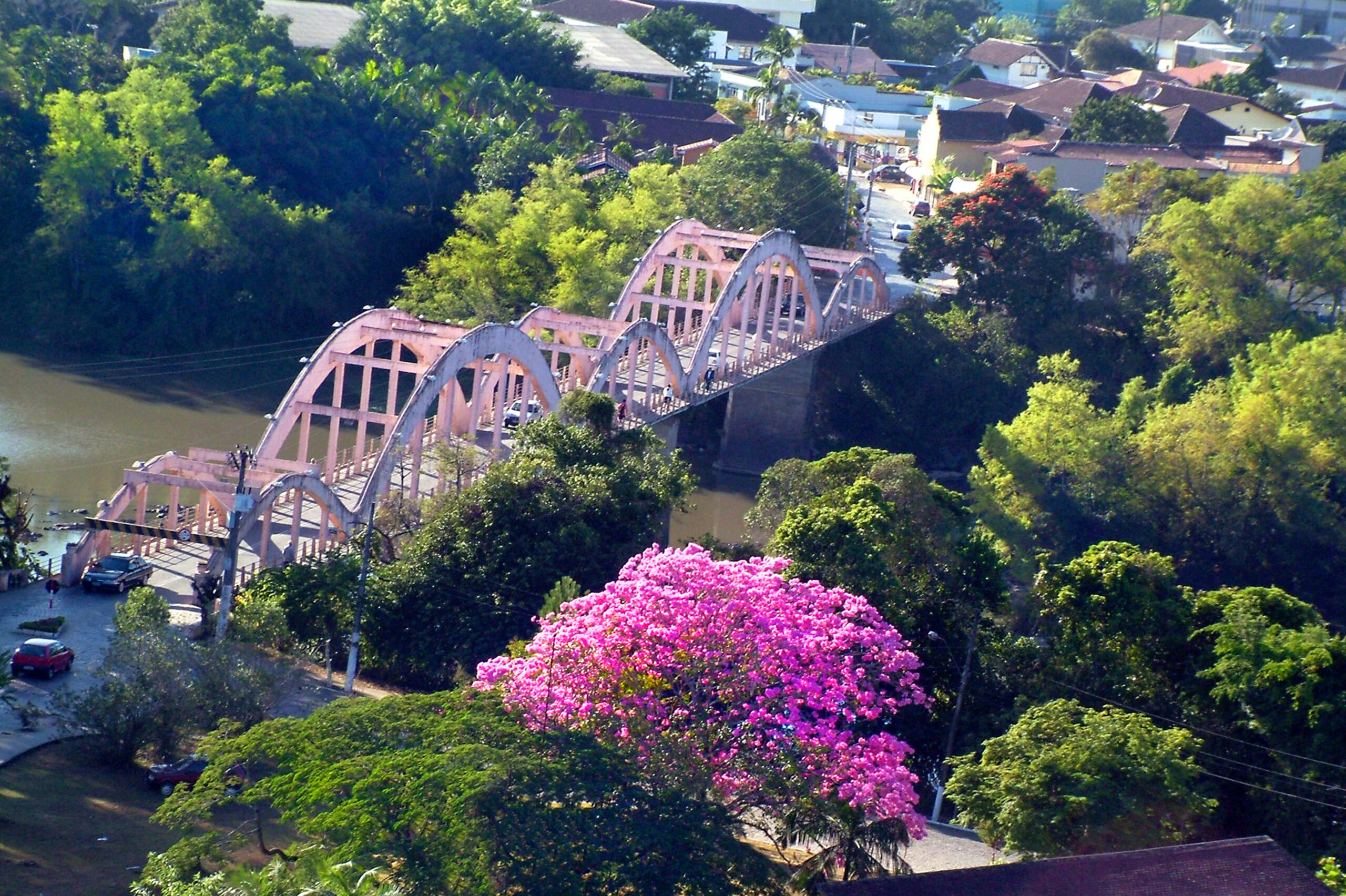 Contabilidade em Indaial