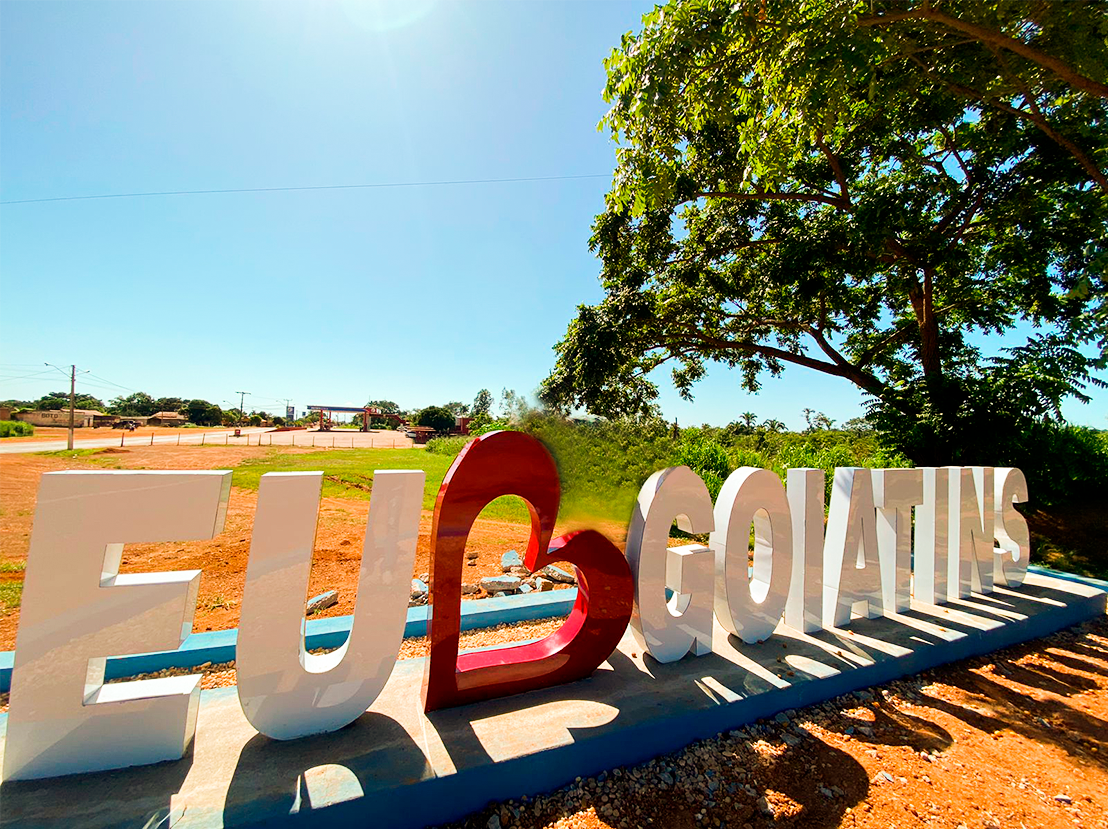 Contador para Empresas em Goiatins