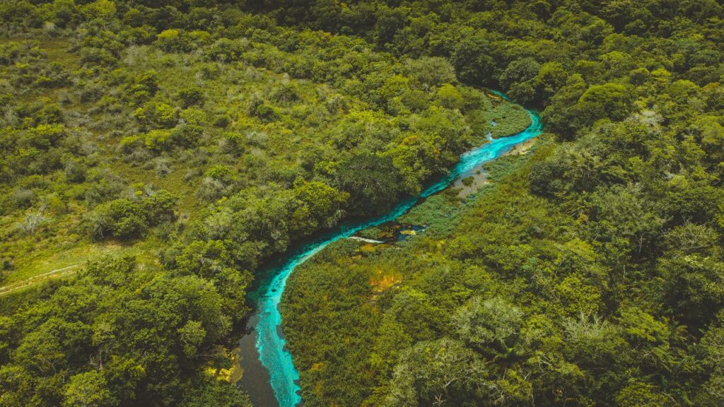 Como Abrir Empresa no Estado do Mato Grosso do Sul